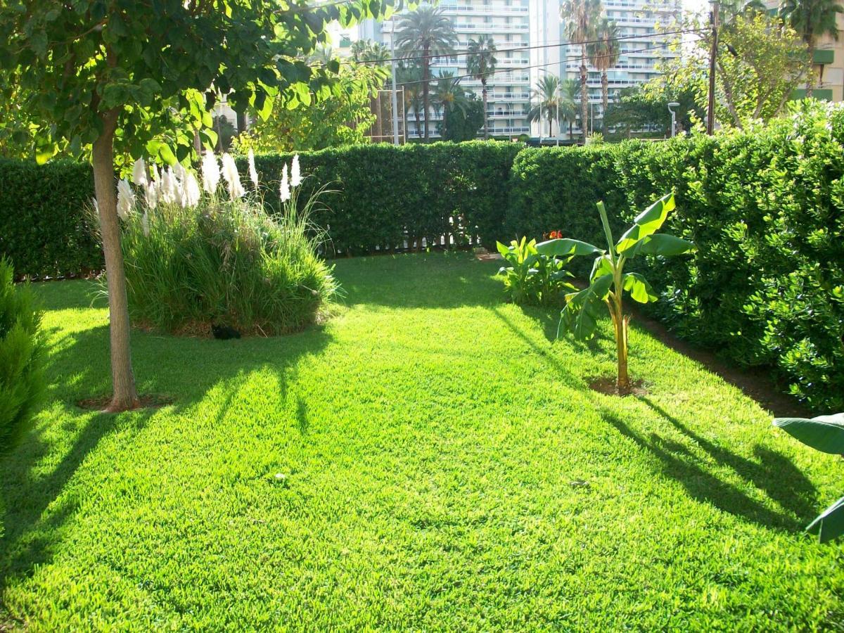 Апартаменты Don Ximo Gandia - Alquiler Solo Familias Playa de Gandia Экстерьер фото